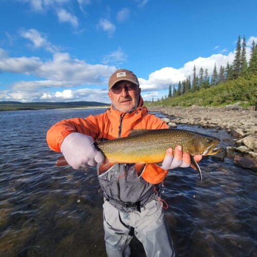 4BF3BF43-6A9B-4632-914A-93F569AEE49A