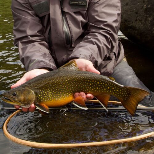 gallery-18 gallery-18