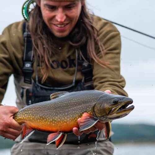 Pêche à la mouche Québec, Canada