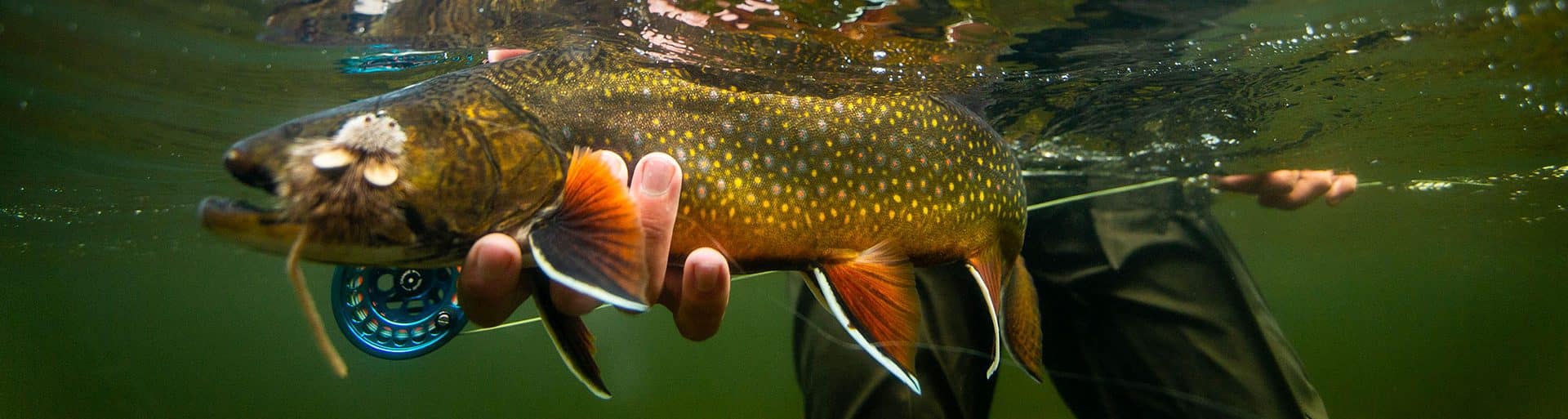 Fly fishing for brook trout at Wedge Hills Lodge