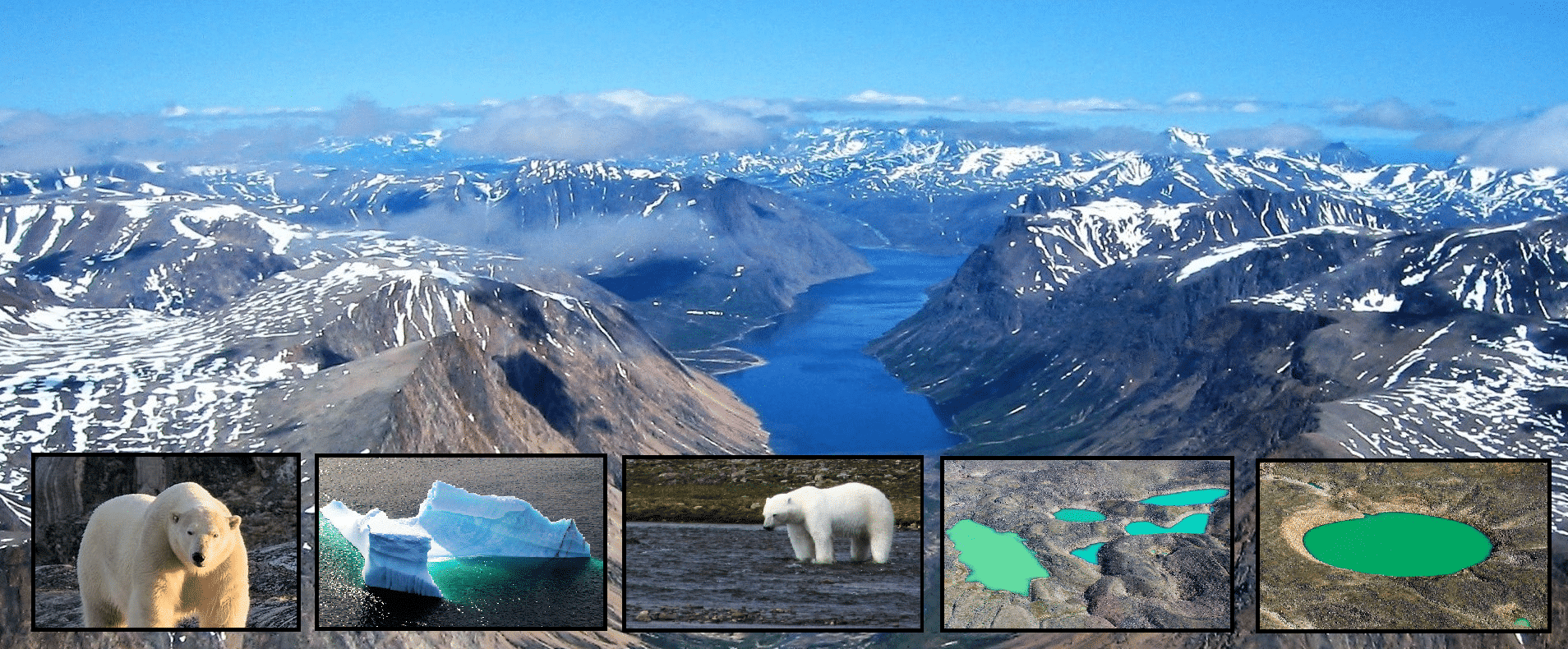 Discover Fjords, Icebergs and Polar Bears in Labrador