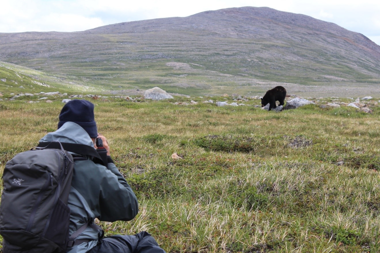 Fabrice Simon – Photographing the Tundra Black Bear