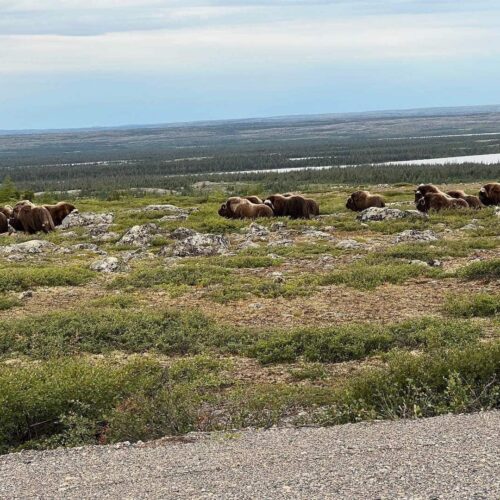 2824CE23-E3DA-4CBF-94DE-6EC75762DE51