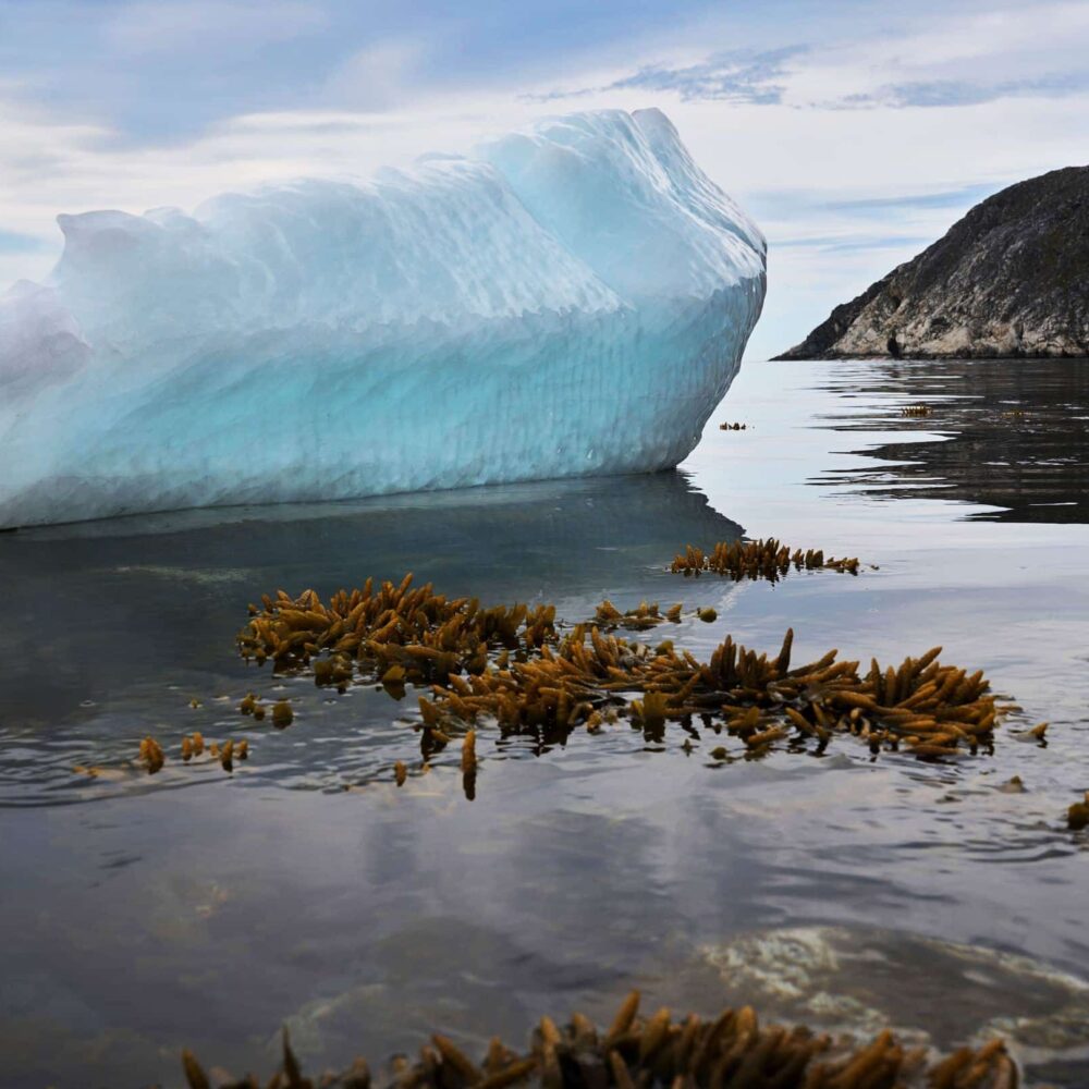 Couloir des Icebergs