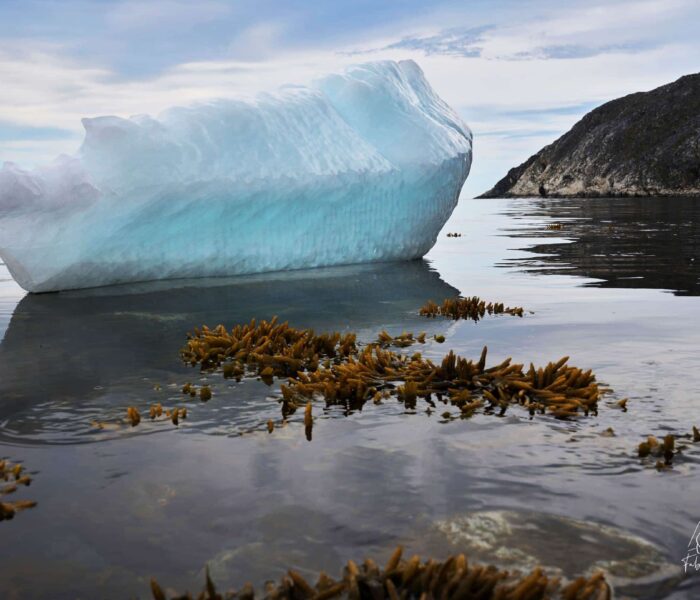 Couloir des Icebergs