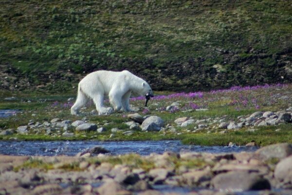 IMG_2850 (5)
