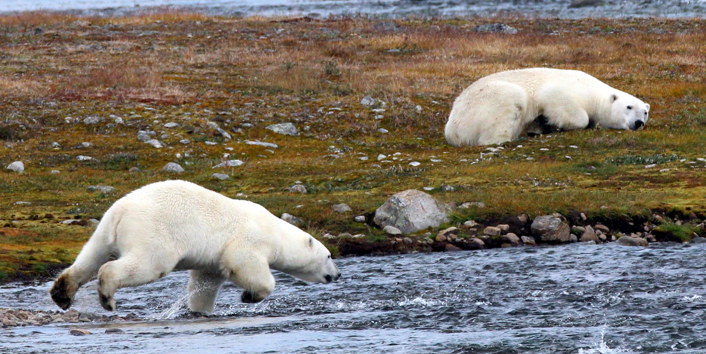 Northern Tip of the Labrador Peninsula