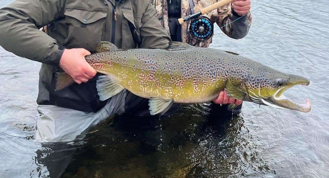 Pêche au Saumon de Classe Mondiale sur la Rivière George