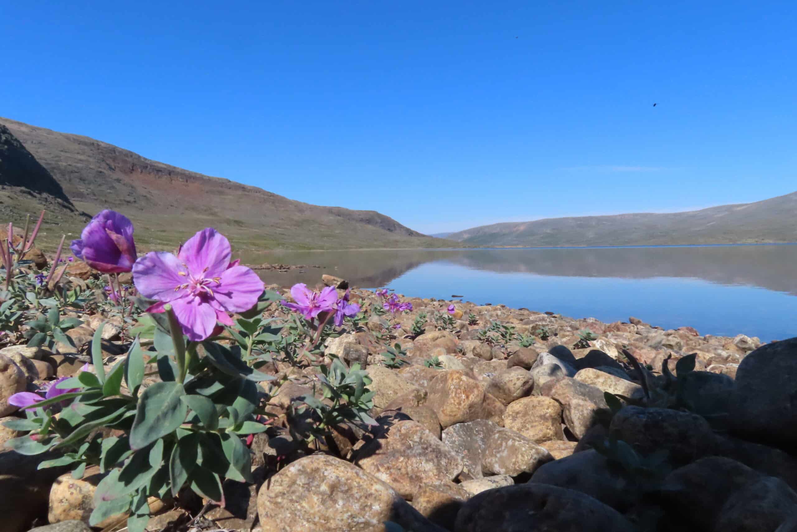 Exploring the banks of Hebron North Lake
