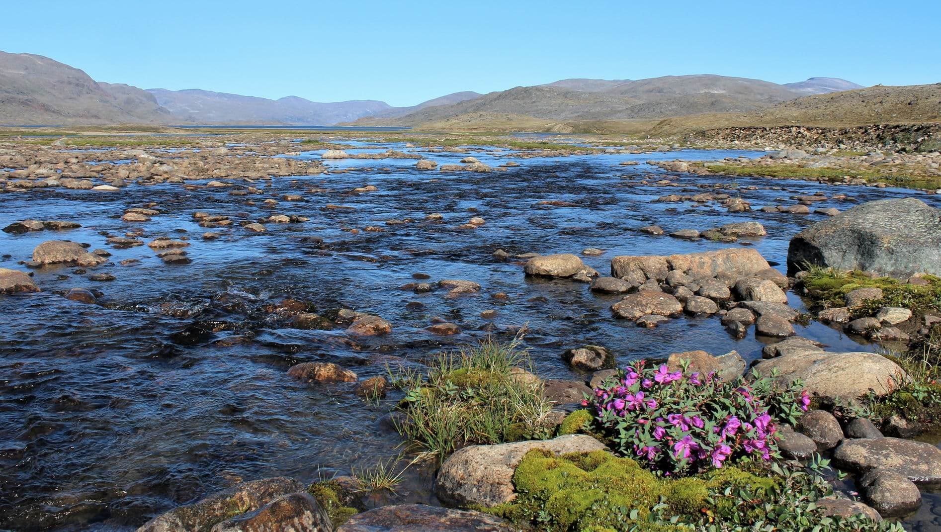 Extrémité Nord de la Péninsule du Labrador