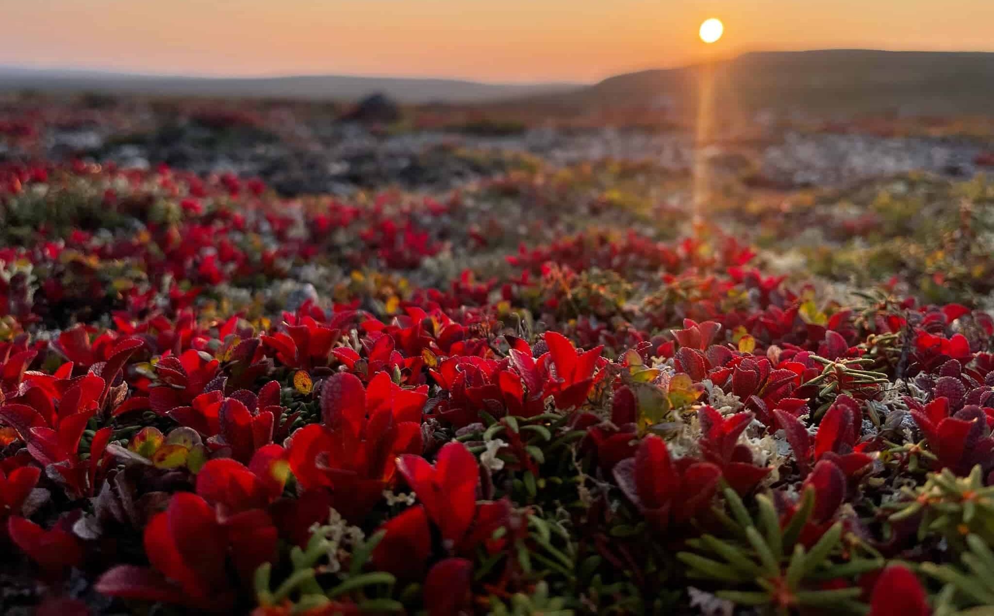 Wedge Hills – Côte Est de l'Unagava