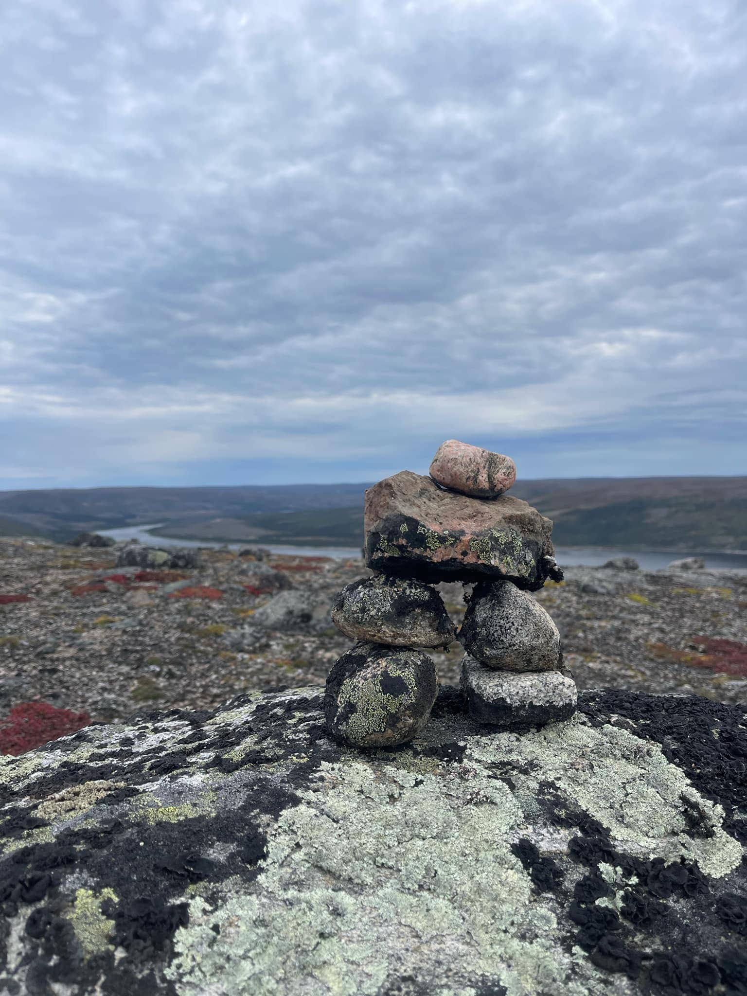 Quête des caribous en hélicoptère