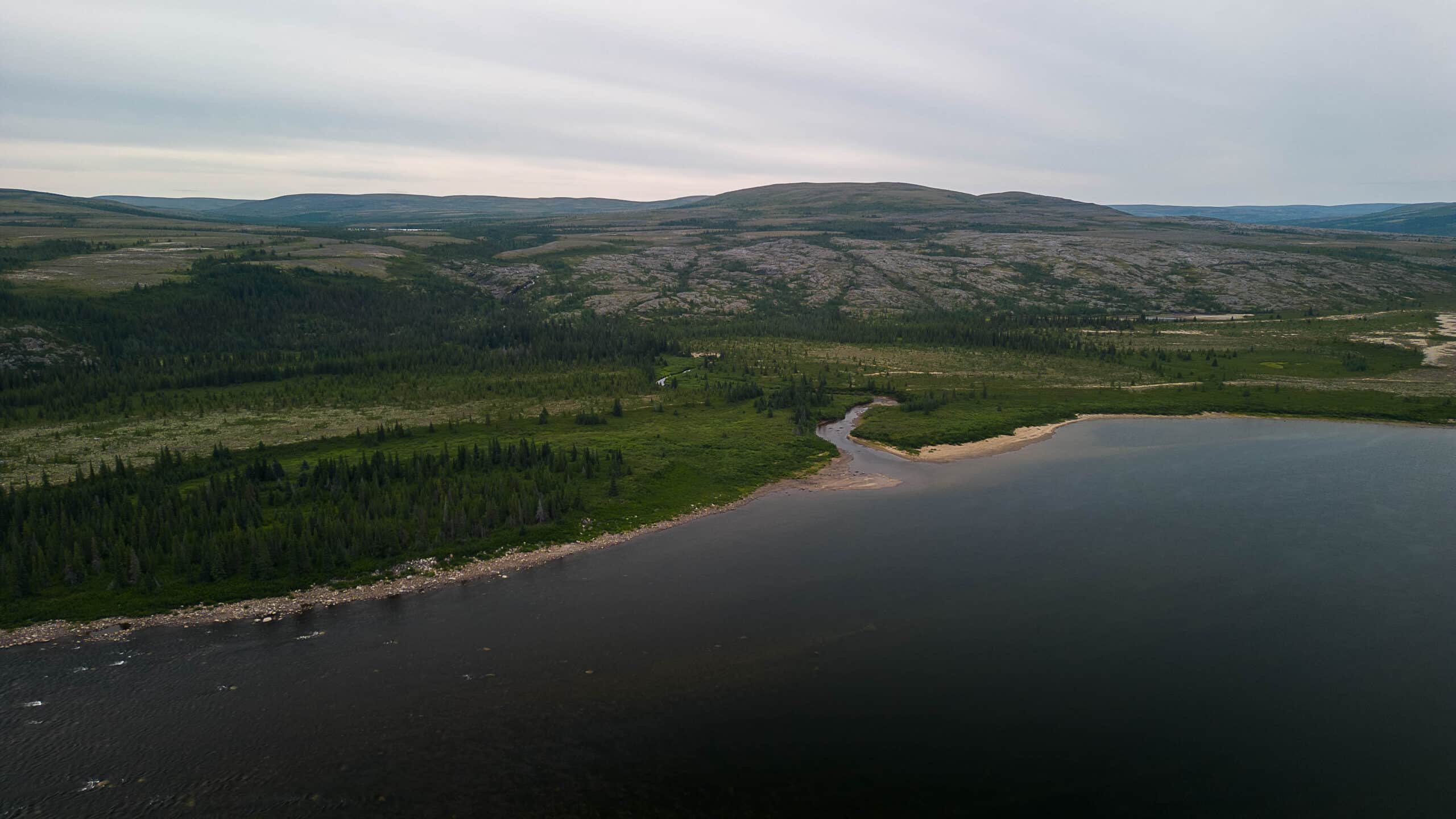 Heli Caribou Quest