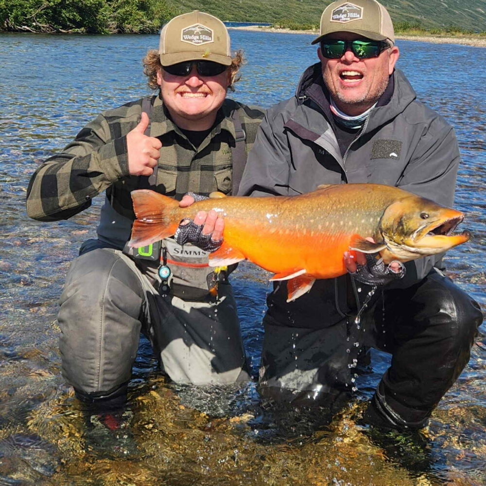 att.ZlrIq8fYIxM7KsmnjdvcblurfPgGFceEakik0m_1m7E